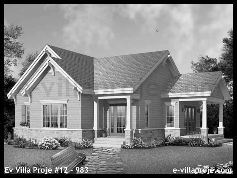 Ev Villa Proje #12 - 983