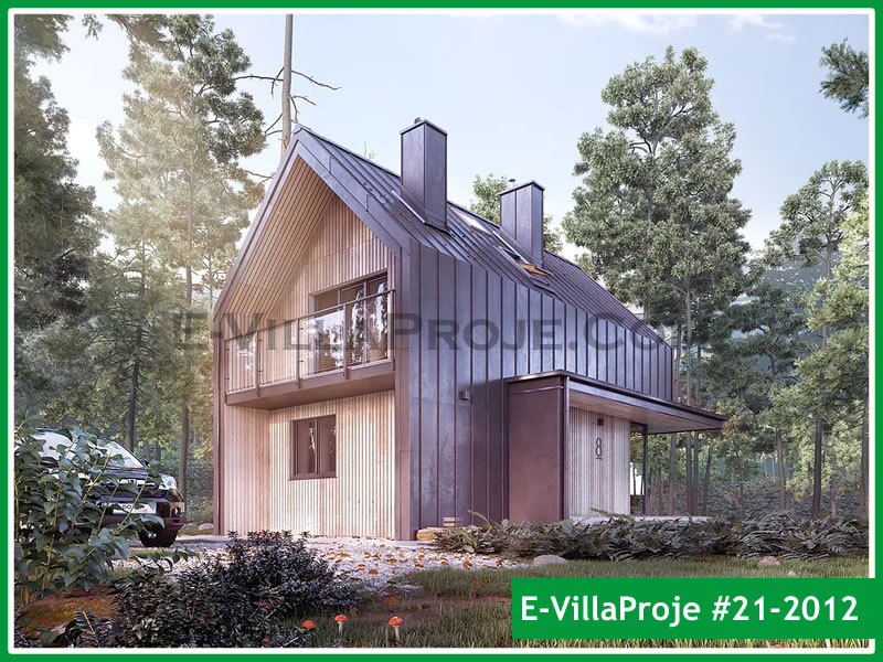 Ev Villa Proje #21 - 2012