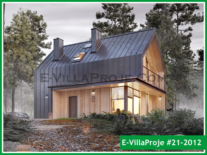 Ev Villa Proje #21 - 2012