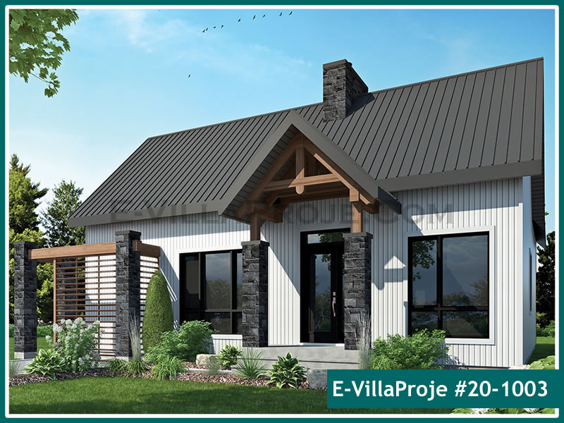 Ev Villa Proje #20 - 1003