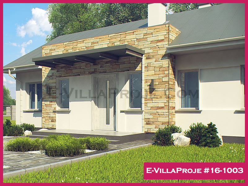 Ev Villa Proje #16 - 1003