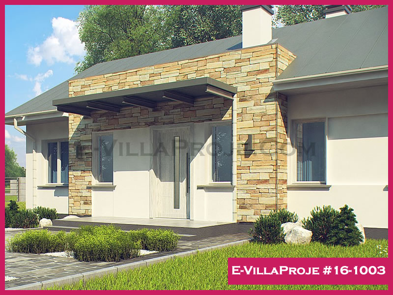 Ev Villa Proje #16 - 1003