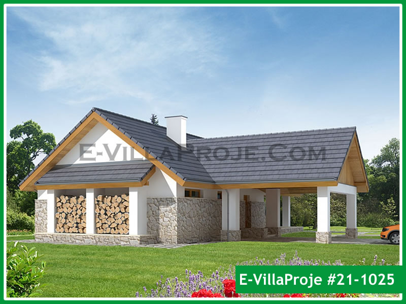 Ev Villa Proje #21 - 1025