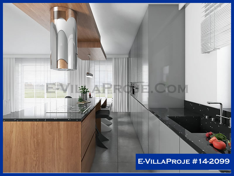 Ev Villa Proje #14 - 2099