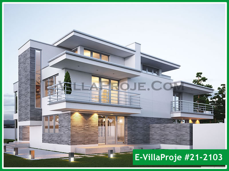 Ev Villa Proje #21 - 2103