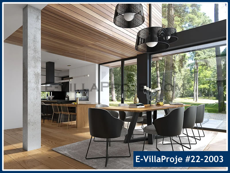 Ev Villa Proje #22 - 2003